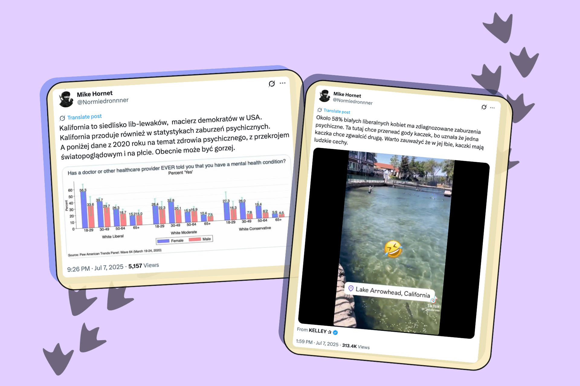 Co mają kaczki do białych liberalnych kobiet? O tym, jak łatwo manipulować statystykami