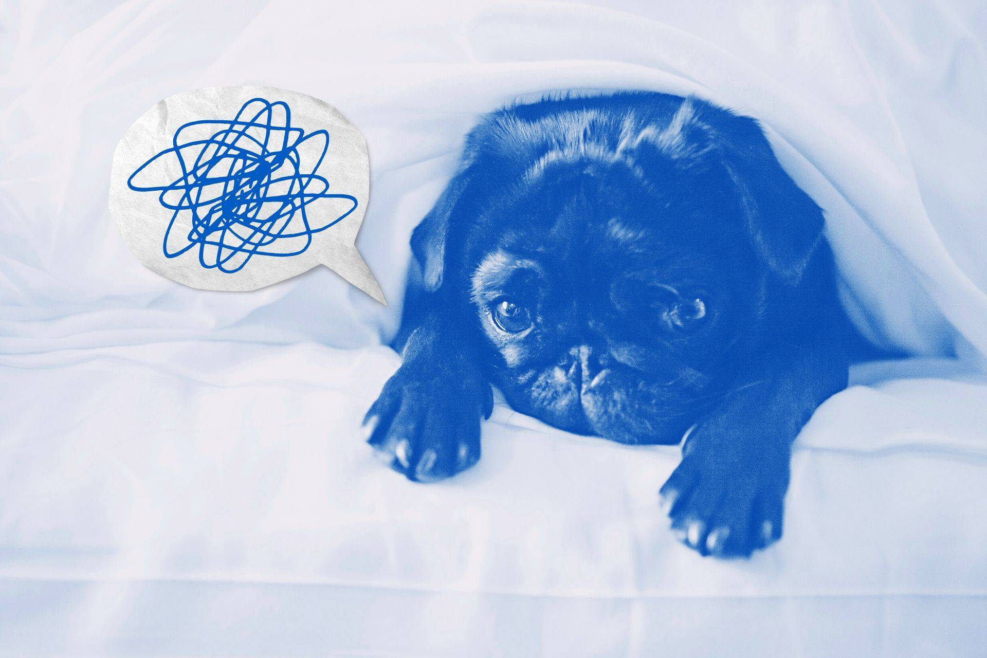 Wierzysz w Blue Monday? Ktoś na Tobie zarabia!