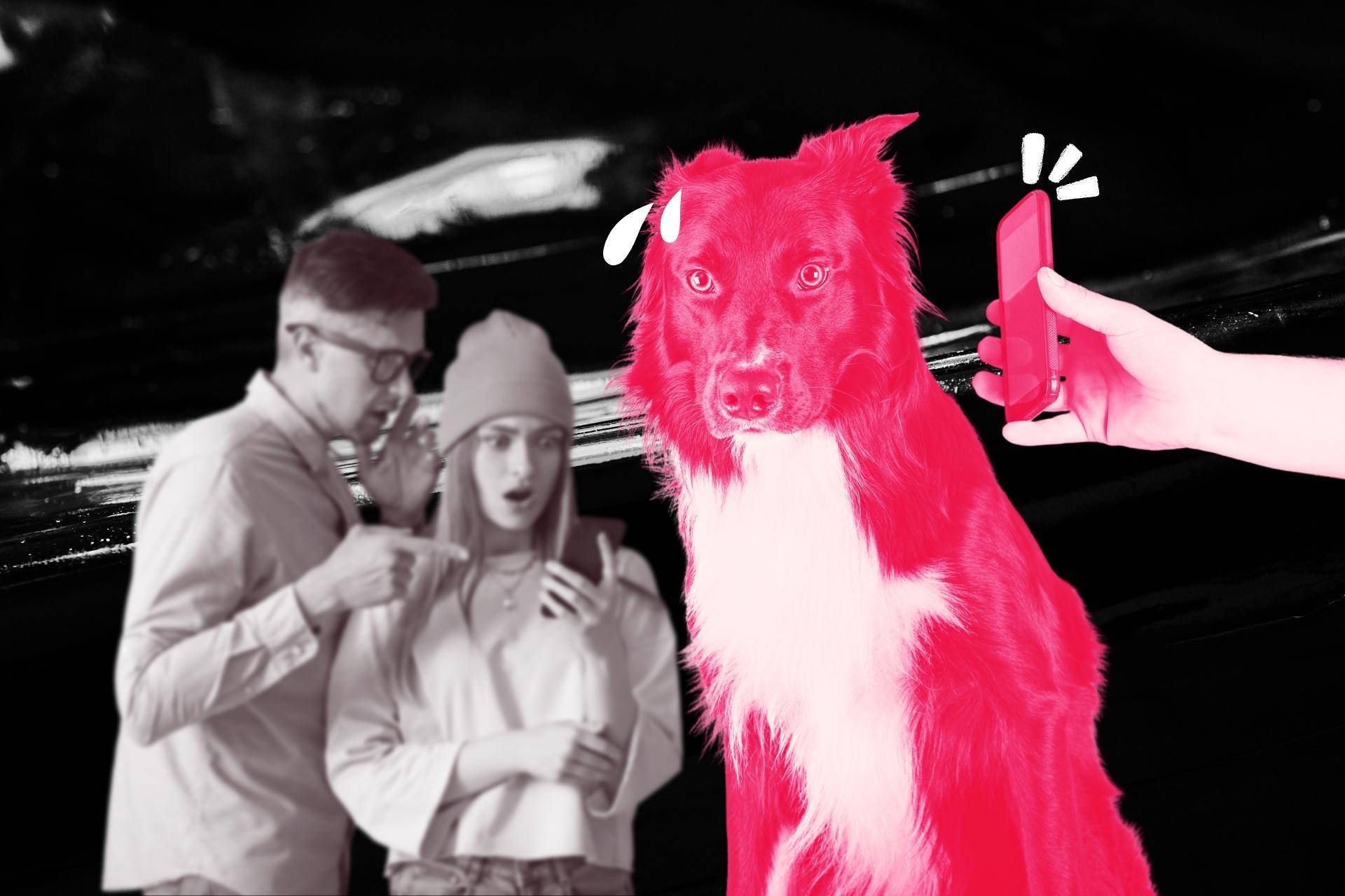 Kontrowersyjne zdjęcie aktywisty LGBT+ Barta Staszewskiego. Fotomontaż?