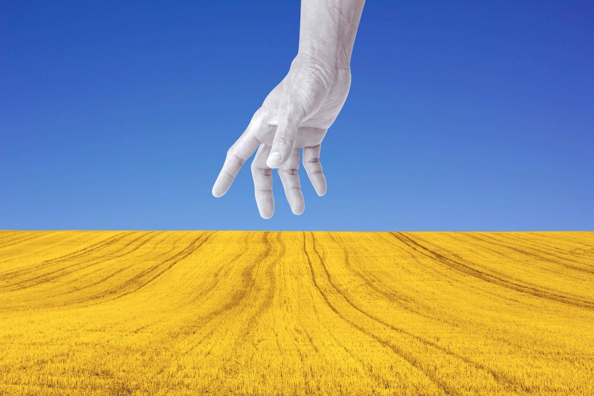 Kto naprawdę zbiera żniwa wojny na Ukrainie?